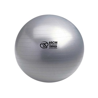 150kg Anti-Burst Swiss Ball & Pump - 65cm