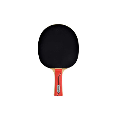 Waldner 600 Table Tennis Paddle