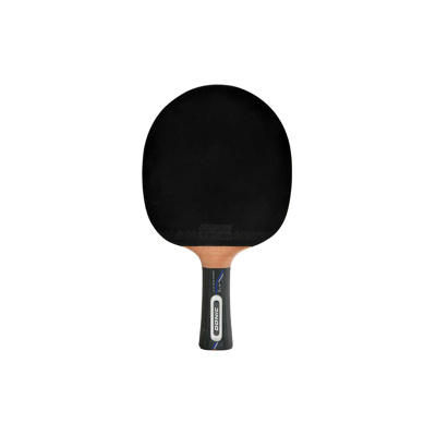 Pala Ping Pong Donic Carbotec 3000