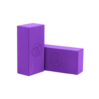 Pair of Purple Yoga Bricks